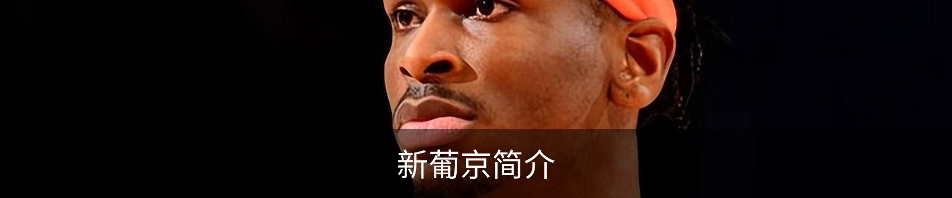 新葡京简介